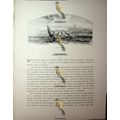 Barcelona Harbour, Spain, Book Illustration (Pr...