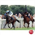 Racing photo TALATHATH Walter Swinburn WINDSOR ...