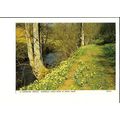 Yorkshire FARNDALE River Dove Postcard by Judge...