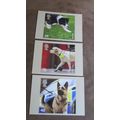 2008 GB PHQ Postcard covers set - Working Dogs