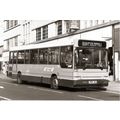 Black & White Photograph of Brighton Corporatio...