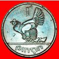 Ⰶ GREAT BRITAIN 1940-1968:IRELAND★1 PENNY 1963 ...