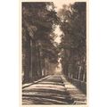 48 - Mende - L'allée Piencourt