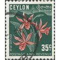 CEYLON, FLOWER, Star Orchid, Phaius tankerville...