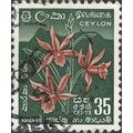 CEYLON, FLOWER, Star Orchid, Phaius tankerville...