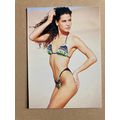 Ujena Swimwear Illustrated 1994 Edition Base tr...