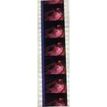 Bram Stokers Dracula. Pk GEB - A004d. 1 STRIP O...
