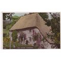 B804 .COCKINGTON - ROSE COTTAGE . COLOURED PRIN...