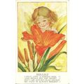 Art MILLICENT SOWERBY "Day-Lily" Postcard (Hump...