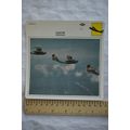 Hall PH - USA - Seaplane - Collectors Club Card