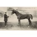 Jasmin La France Chevaline 1909 Race Horse Anti...