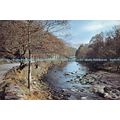 D023684 The River Derwent. Borrowdale. Cumberla...