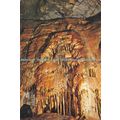 D023685 St. Pauls Goughs Caves. Cheddar. Dixon....