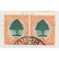AFRICA SOUTH 1930 6d ORANGE TREE SG47 HORIZONTA...