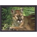 FLORIDA PANTHER EVERGLADES NATIONAL PARK MINT