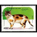 Laos 1995 Animals Cat 400k Used Stamp tl
