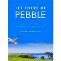 Let There Be Pebble