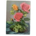 rose flowers used postcard 1981 postcard =