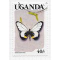 UGANDA 1989 BUTTERFLIES GLASSY ACRAEA BLACK COU...