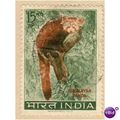India 1963 - SG 473 - Lesser Panda 15np - used