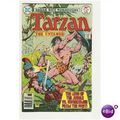 TARZAN # 255 ( DC series)