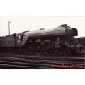 Railway Photo LNER A3 60109 Hermit - Gresley Pa...