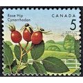 CANADA, 1991 5c Rose Hip, SG 1463 (Scott #1352)...