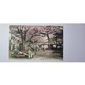 CHERRY BLOSSOMS AT ASHIKAYAMA , TOKYO, HAND TIN...