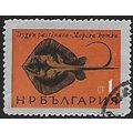 Mi 1542: 1 st. multicoloured Fishes: Sting Ray