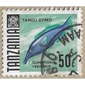 1967 Green Birdmouth Wrasse 15564