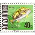 TANZANIA, FISH, Sweetlips, Gaterin gaterinus, g...