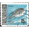 TANZANIA, FISH, White-spotted Puffer, Arothron ...