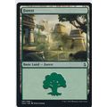 Magic the Gathering MTG Amonkhet 267/269 Forest