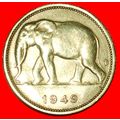 SOUTH AFRICA ELEPHANT 1944-1949: BELGIAN CONGO★...