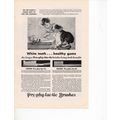 Prophylactic Brushes vintage Print Ad April 1931