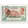 ETHIOPIA 1961 FAUNA ANIMALS LIONS $1 USED fault...