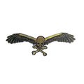 Iron On Patch Winged Skull Embroidered Gold Sew...