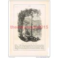 Amalfi from a Terrace, Italy, Book Illustration...