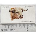 1927 John Player & Sons Wild Animals Heads No. ...