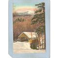 NH Franconia Notch Covered Bridge Postcard Flum...