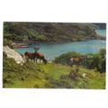 KYLESKU, SUTHERLAND, SCOTLAND .unused vintage p...