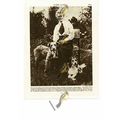 Nurse Edith Cavell, Shot In Belgium 1915, Book ...