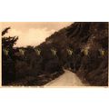 Chepstow, Wyndcliff from Tintern Road, Photochr...