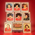 Panini Football 78 Bristol City Recovered Stick...