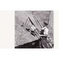 Postcard Thatcher & Tools Norwich Norfolk 1948 ...