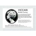 C6218) VICCARI Hair Hairdressers Hove - 1965 Cu...