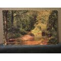 NEW FOREST STREAM, used vintage postcard by J S...