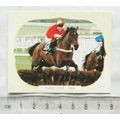 GDS Cards Champion Hurle 1994 Flakey Dove