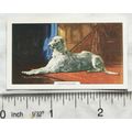 1938 Gallaher Dogs 2nd Series No. 28 Deerhound