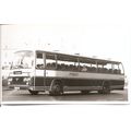 Black & White Photograph of A. Timpson & Sons L...